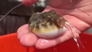 Tight Asshole Simplemente No Puede Contenerlo XVIDEOS