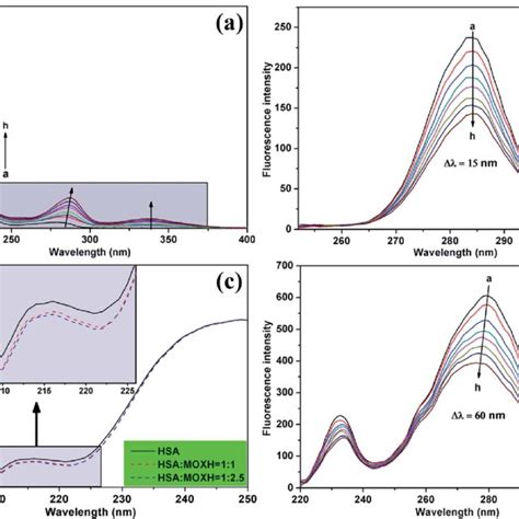 A Uv Vis Absorption Spectra Of Hsa 2 0 Â 10 6 Mol L À1 With Download Scientific Diagram