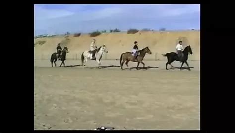 Sirena Lewis Porn Videos Porn Star Sex Scenes XHamster