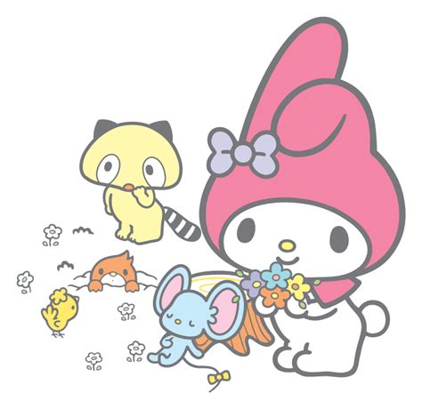 Araiguma | Hello Kitty Wiki | Fandom