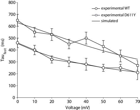 WT and mutant (D611Y) time constants of I Ks activation. | Download ... 