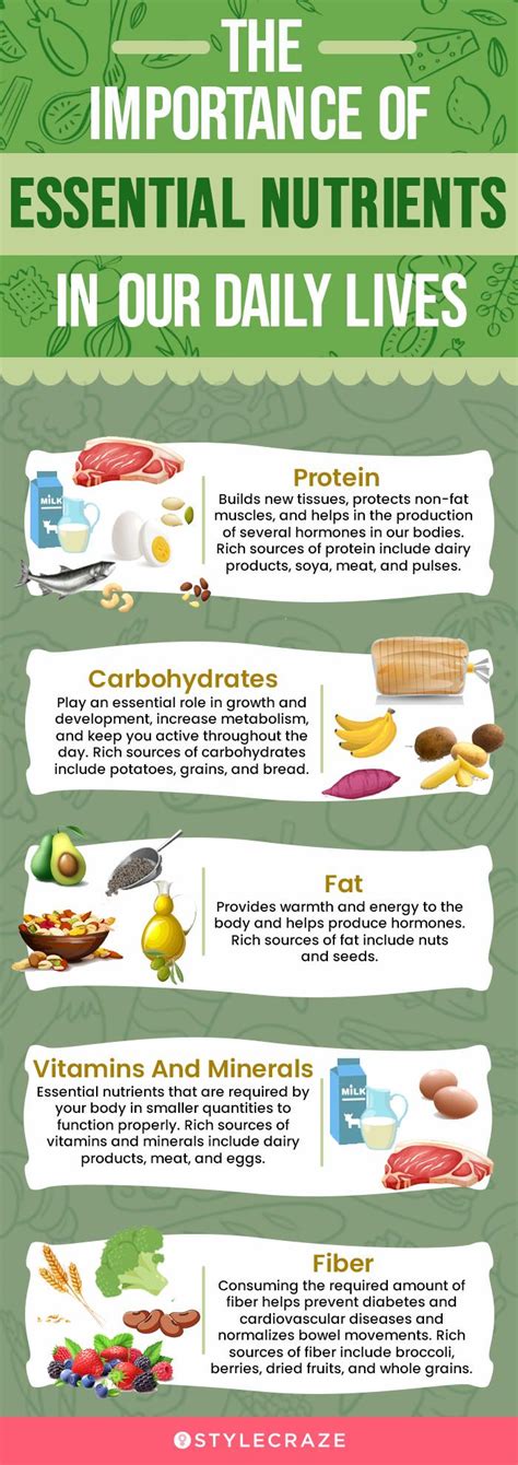 Why Is Healthy Food Important In Our Daily Life