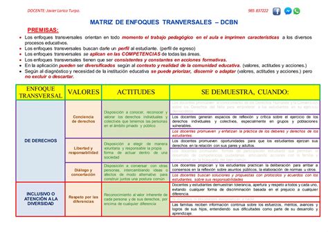 Matriz De Enfoques Transversales Cneb Ppt