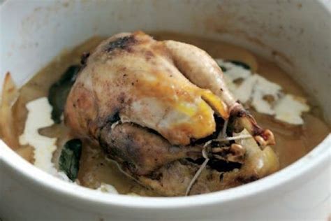 Pot Roast Pheasant Recipe Pheasant Recipes Roast Pheasant Pheasant