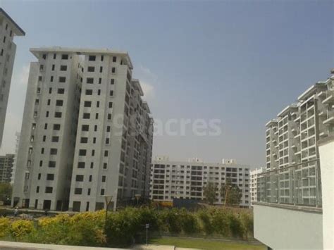 Bhk Apartment Flat For Sale In Kolte Patil Ivy Estate Wagholi Pune