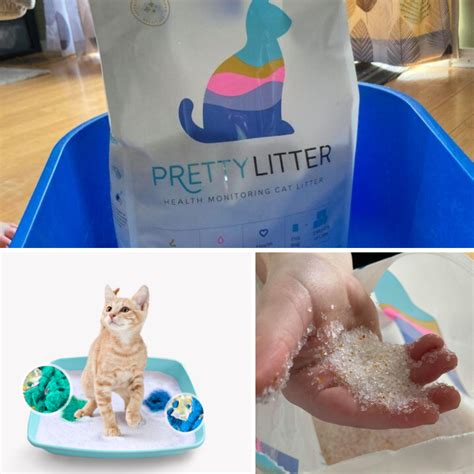 Pretty Litter vs Kitty Poo Club Comparison| Happy Cat Corner