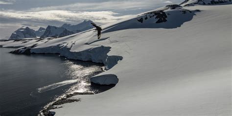 L Arctique Pourrait Tre Priv De Glace De Mer En T D S Les Ann Es