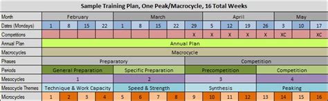 Components Of Periodization Training