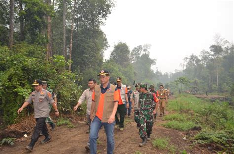 Indeks Pencemaran Udara Jambi Sangat Buruk Minanews Net