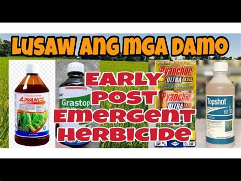 Pamatay Damo Early Postemergent Herbicide Lusaw Ang Damo Youtube