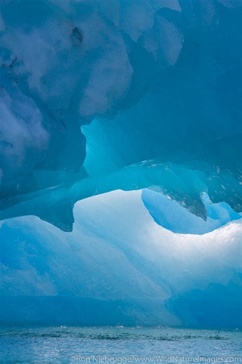 Icebergs | Photos by Ron Niebrugge 