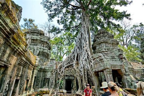 Ta Prohm El Templo Devorado Por La Selva Que Todos Buscan En Angkor