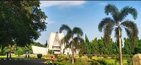 Nine Donated Medals Will Be Awarded During The Convocation Of Punjabi