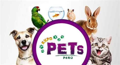 Perros sin hogar tendrán exposición en feria de mascotas WUF EL