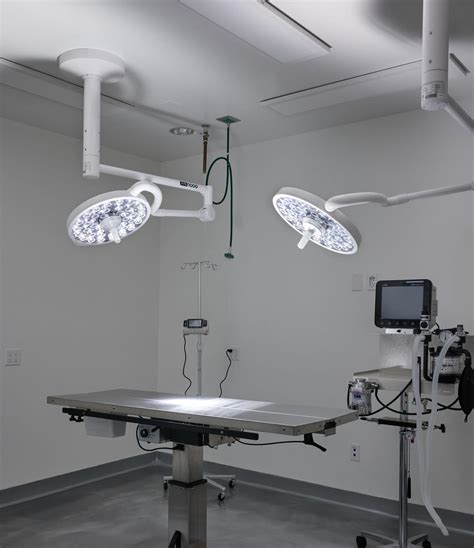 Hospital Palms And Paws