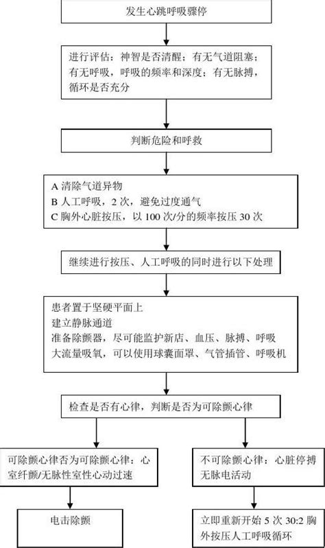 心跳呼吸骤停抢救流程word文档在线阅读与下载免费文档