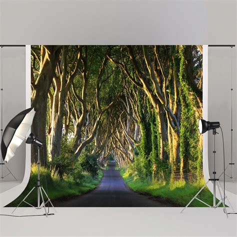 Find More Background Information About Kate 300x300cm Forest