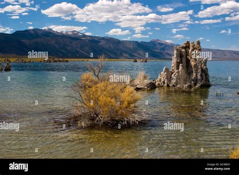 Mono Lake Is An Alkaline And Hypersaline Lake In Mono County