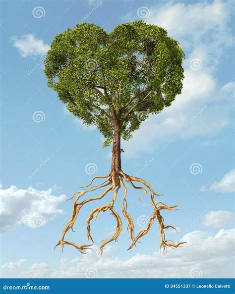 Tree With Foliage With The Shape Of A Heart And Roots As Text Lo Stock