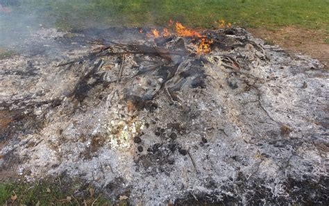 Verbrennen Von Pflanzlichen Abf Llen Ro Wein