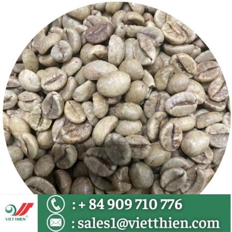 Robusta Green Coffee Beans Robusta S18 Wet Polished Grade 1 Id