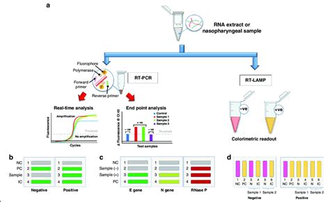 Test Layouts For Various Sars Cov Detection Methods A Demonstration