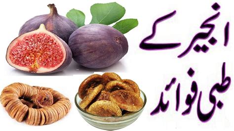 Figs In Urdu