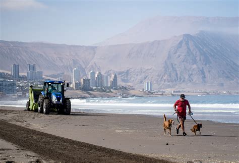 M Quina Limpiadora De Playas Ha Retirado M S De Toneladas De