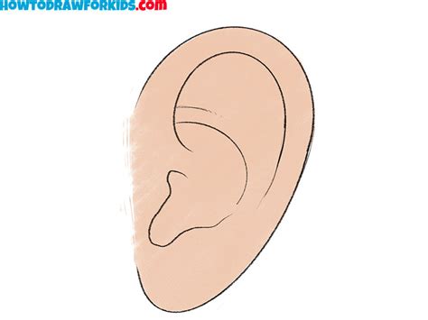 Ear Drawing For Kids