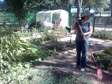 El Huerto Ecol Gico De Nuestro Cole Bienvenidos Al Huerto Del Cole