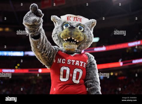 The NC State Wolf mascot during the NCAA College Basketball game ...