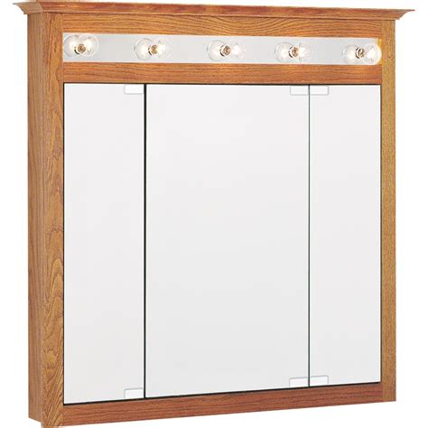 Shop Project Source In X In Surface Medicine Cabinet With