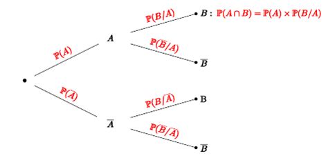 Arbre Pond R Et Calcul De Probabilit S Conditionnelles