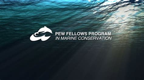 Meet The 2013 Pew Marine Fellows Pew Youtube