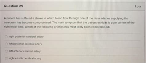 Solved Question Pts A Patient Has Suffered A Stroke In Chegg