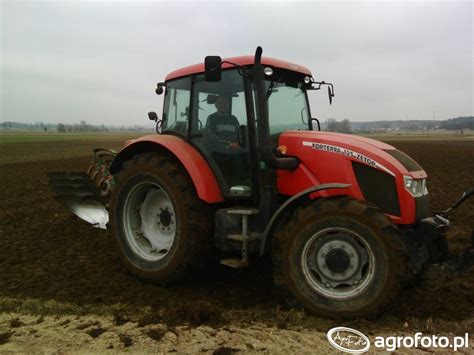 Obraz Traktor Zetor Forterra 125 Id631019 Galeria Rolnicza Agrofoto