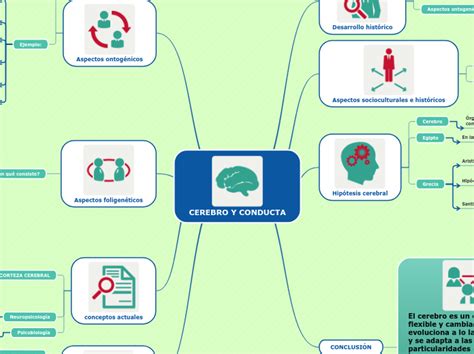 Cerebro Y Conducta Mapa Mental Mindomo