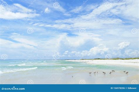 Panorama Of The Beautiful White Sand Beach Of The Florida Gulf Coast