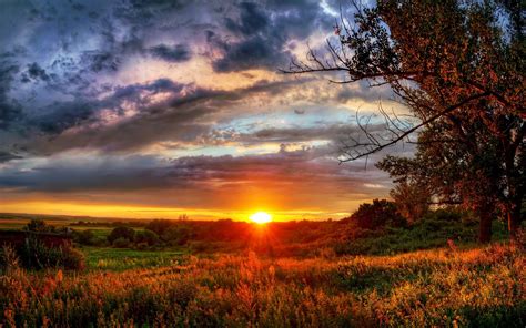 Sunset Field Trees Landscape Wallpaper Coolwallpapersme