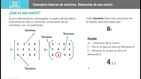 Conceptos Básicos De Matrices Youtube