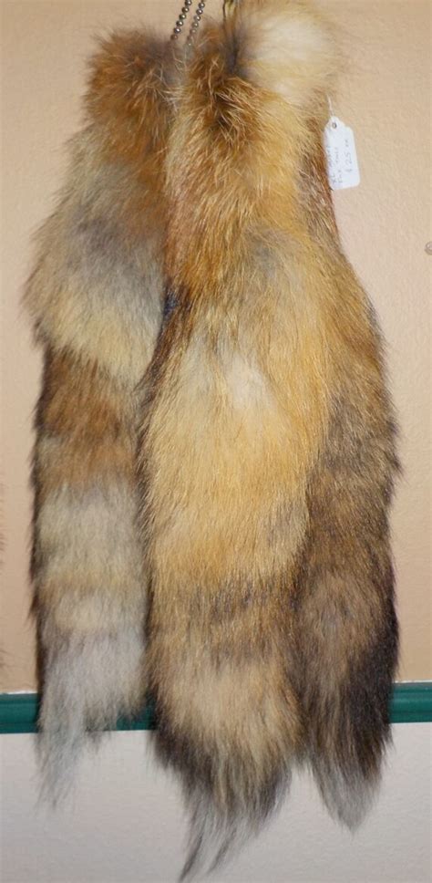 Xxl Wild Red Fox Tails Ready To Wear By Frontierfurs On Etsy