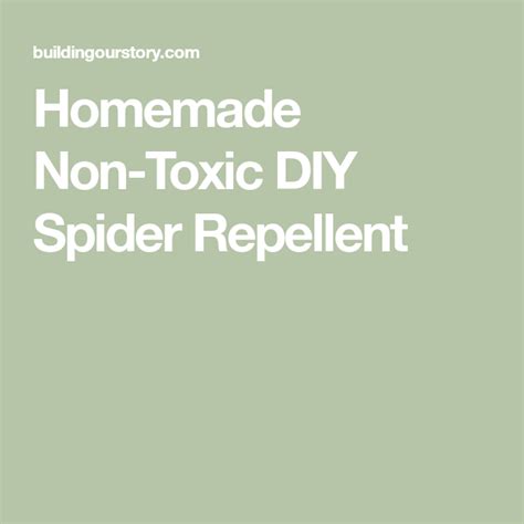 Homemade Non Toxic Diy Spider Repellent Artofit