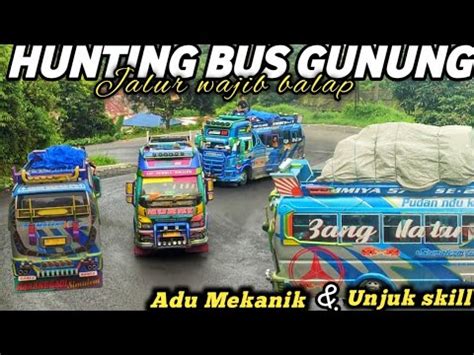 Hunting Bus Gunung Di Tikungan Berkelok Kelok Semua Bus Gunung Pada