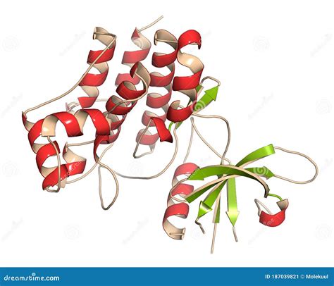 Tofacitinib Rheumatoid Arthritis Drug Molecule Inhibitor Of Janus