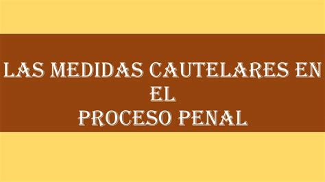 Pdf Las Medidas Cautelares En El Proceso Penal Dokumen Tips