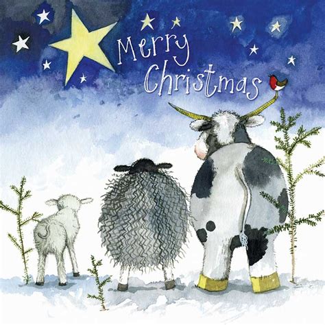Christmas Farm Animals Christmas Card – Wild Art Gallery