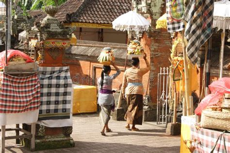 Ofrendas Que Llevan De La Mujer Del Balinese En Su Cabeza Fotograf A