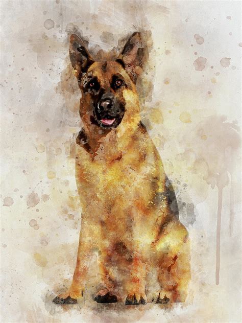 German Shepherd Dog Watercolor Portrait 03 Painting By Stockphotosart