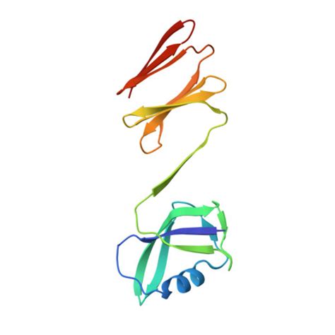 Rcsb Pdb Uzr Crystal Structure Of Pyrococcus Horikoshii Ph