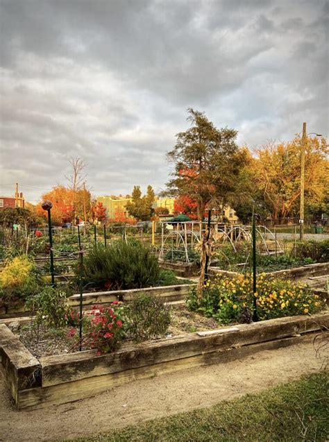 Chimborazo Playground Community Garden Verdant Richmond